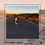 Nóvember pakki